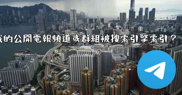 如何防止我的公開電報頻道或群組被搜索引擎索引？