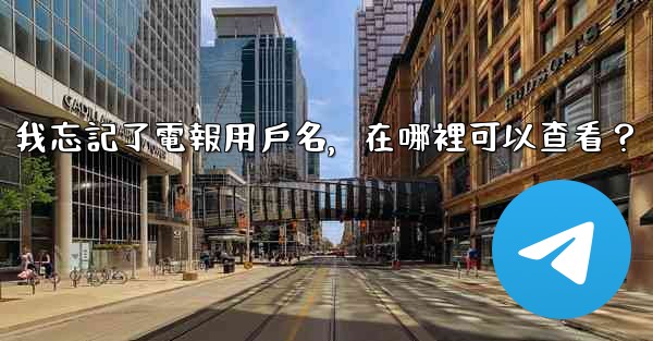 我忘記了電報用戶名，在哪裡可以查看？