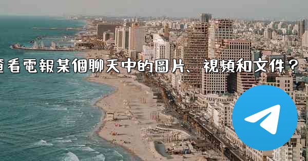 如何只查看電報某個聊天中的圖片、視頻和文件？