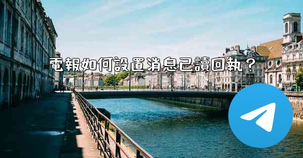 電報如何設置消息已讀回執？
