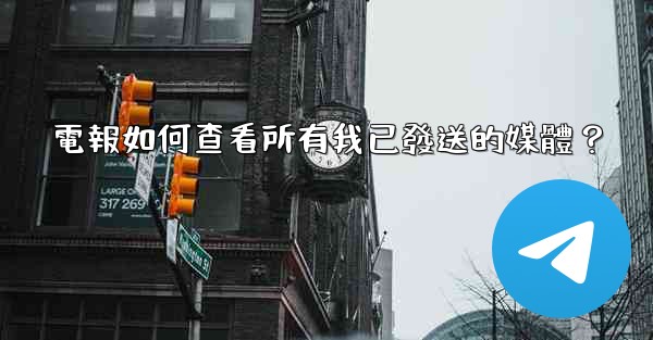 電報如何查看所有我已發送的媒體？