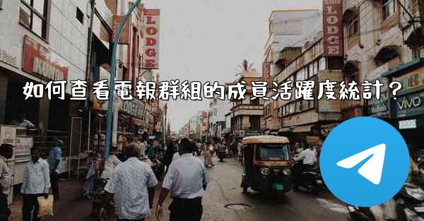 如何查看電報群組的成員活躍度統計？