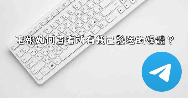 電報如何查看所有我已發送的媒體？