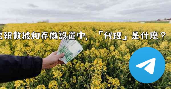 電報數據和存儲設置中，「代理」是什麼？