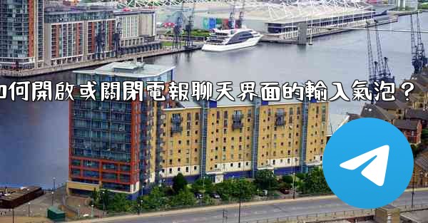 如何開啟或關閉電報聊天界面的輸入氣泡？