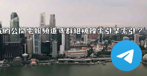 如何防止我的公開電報頻道或群組被搜索引擎索引？