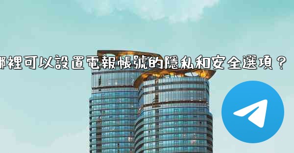 在哪裡可以設置電報帳號的隱私和安全選項？