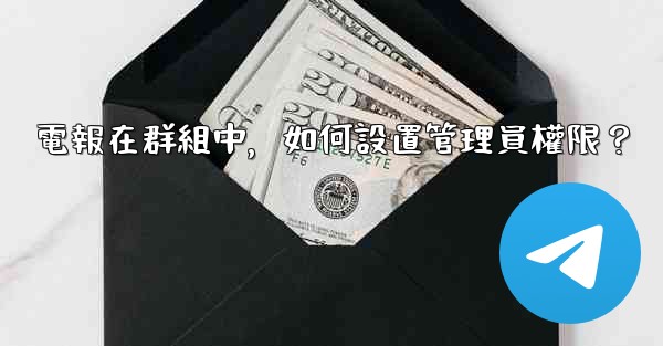 電報在群組中，如何設置管理員權限？