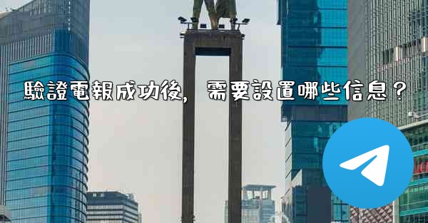 驗證電報成功後，需要設置哪些信息？