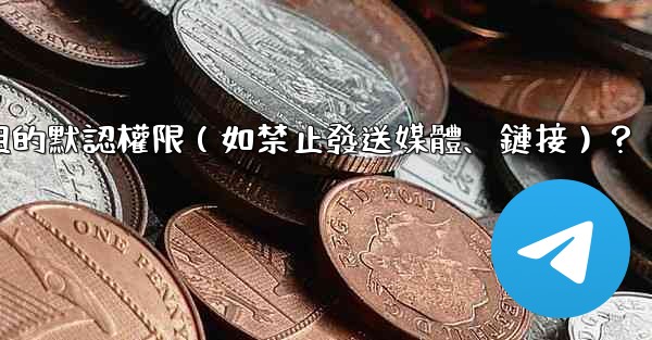 <b>如何設置電報群組的默認權限（如禁止發送媒體、鏈接）？</b>