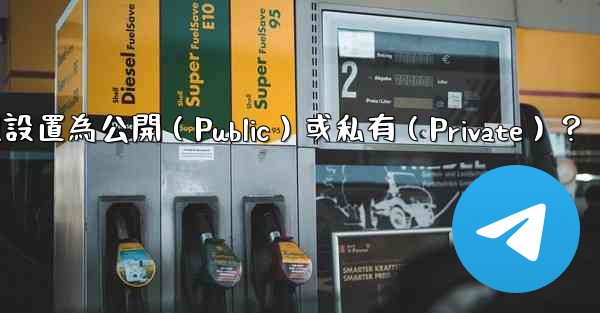 如何將電報群組設置為公開（Public）或私有（Private）？