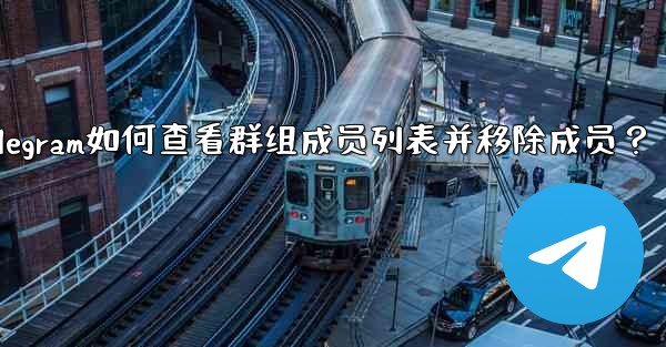 <b>Telegram如何查看群組成員列表並移除成員？_telegram如何查看群组成员列表并移除成员？</b>