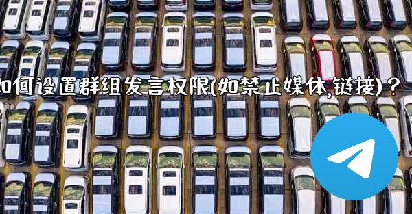 Telegram如何設置群組發言權限（如禁止媒體、鏈接）？;telegram如何设置群组发言权限(如禁止媒体,链接)？