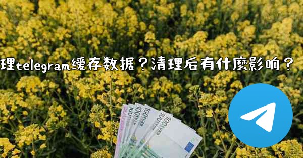 如何清理Telegram緩存數據？清理後有什麼影響？;如何清理telegram缓存数据？清理后有什麼影响？