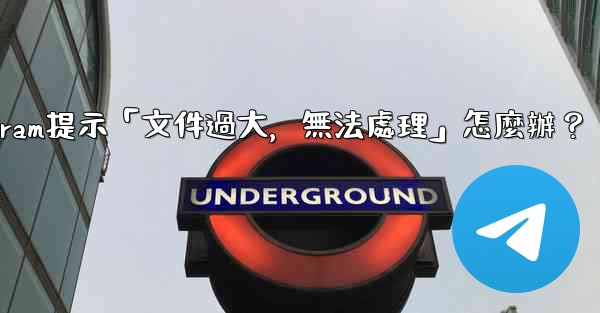 Telegram提示「文件過大，無法處理」怎麼辦？