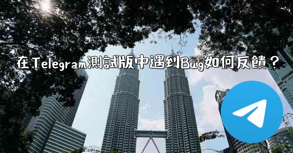 <b>在Telegram測試版中遇到Bug如何反饋？</b>