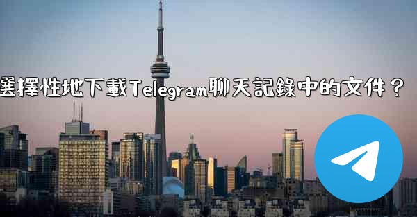 如何選擇性地下載Telegram聊天記錄中的文件？